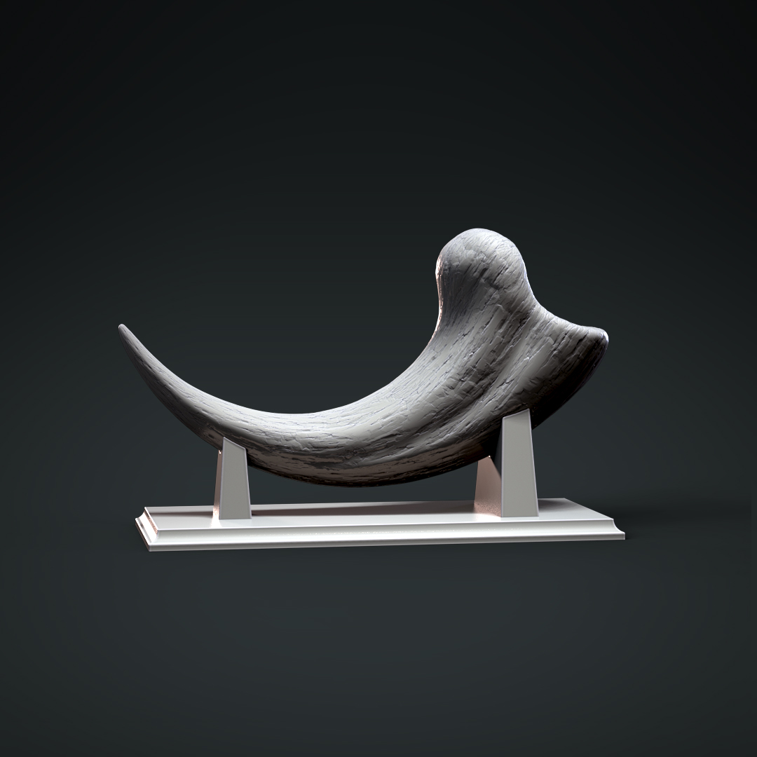 Deinonychus claw